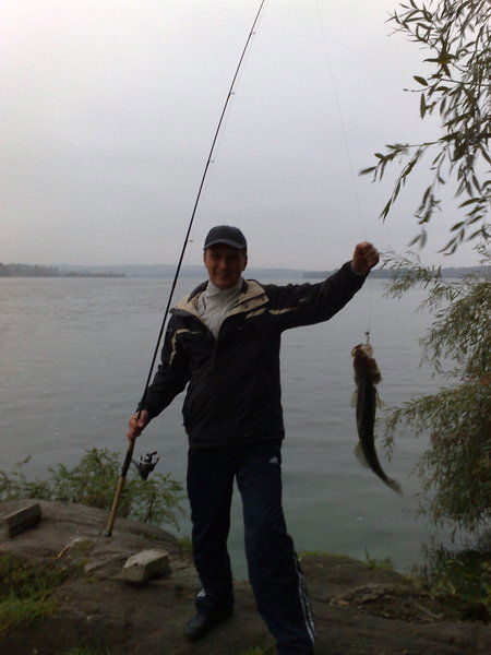 Анатолий Кулиненко