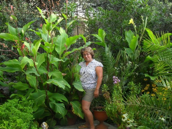 Гульшат Шафикова