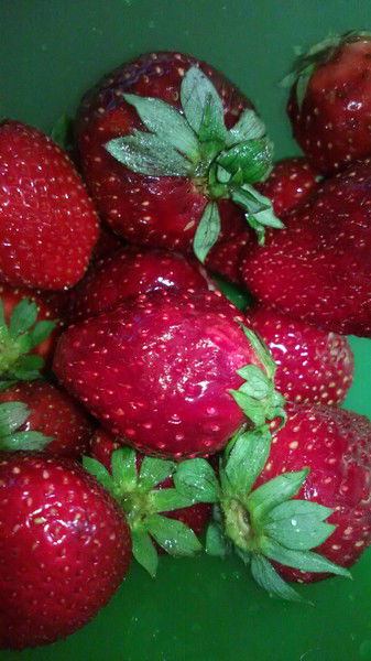 Инна Петрова