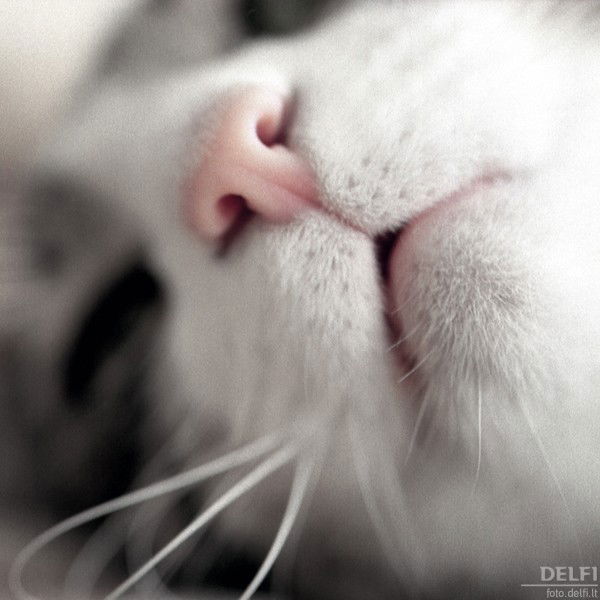 Юлия Лушкина