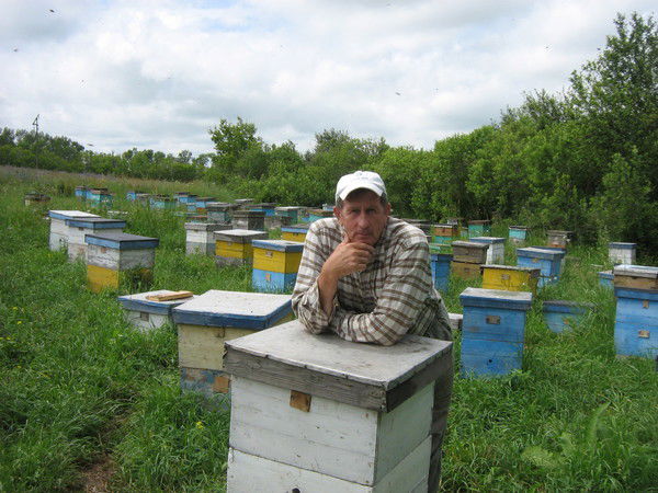 Александр Ершов