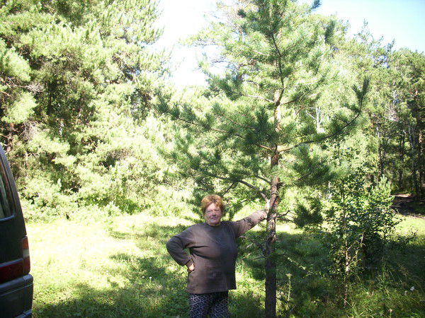 Надежда Хиничева(Фокина)