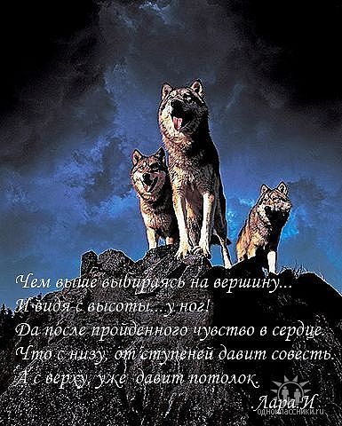 Ольга Стрельченко