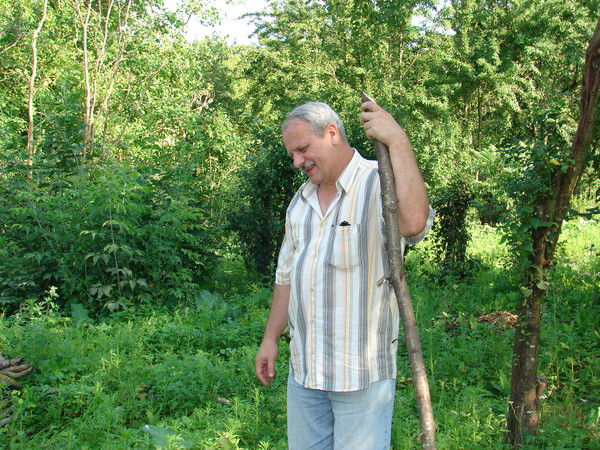 Евдокимов Михаил