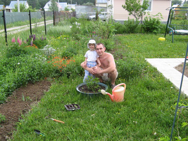 Алексей Дорохов