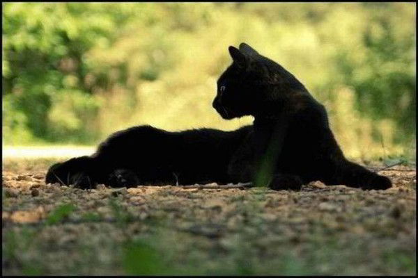 Евгения Щербакова