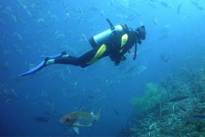 Владислав Подоляко