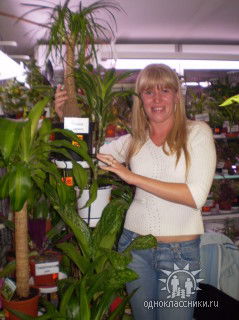 Елена Амосова