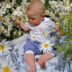 Сергей Соколов