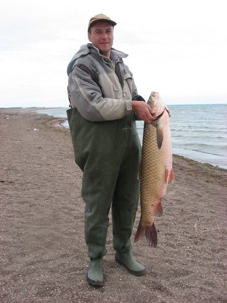 Александр Бойко