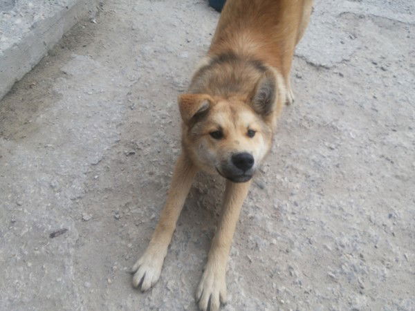 Сергей Меньшиков