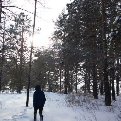 Андрей Любашевский