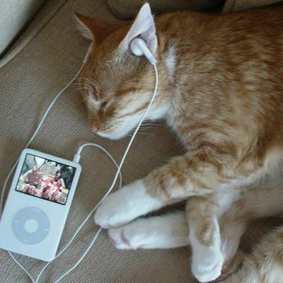 Алина Куценко