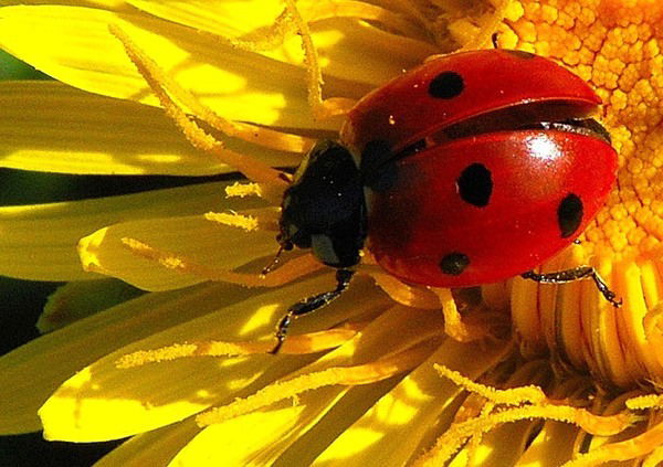 Наталья Чингаева