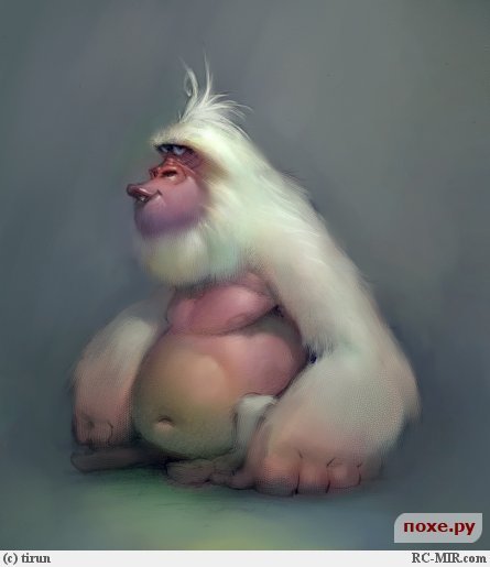 Сережка Vildais