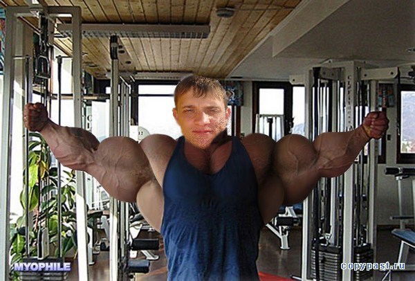 Сергей Коротаев