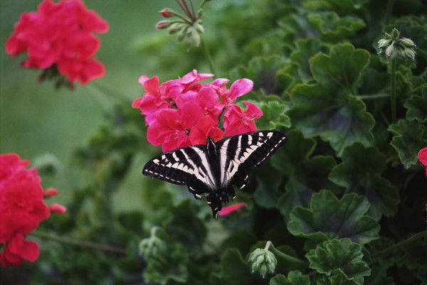 Управлння Молод