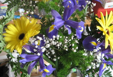 Евгения Лошкина