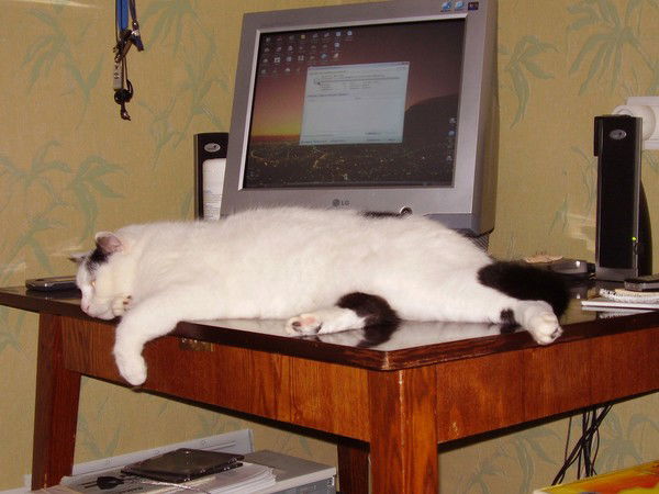 Павел Федянцев