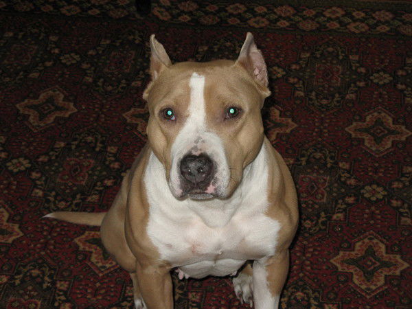 Таня Савватеева