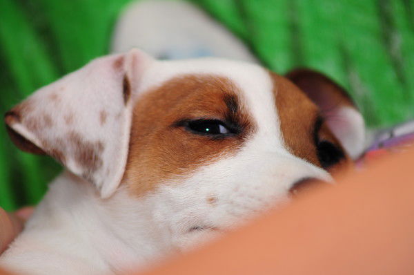 Наталья Балашева