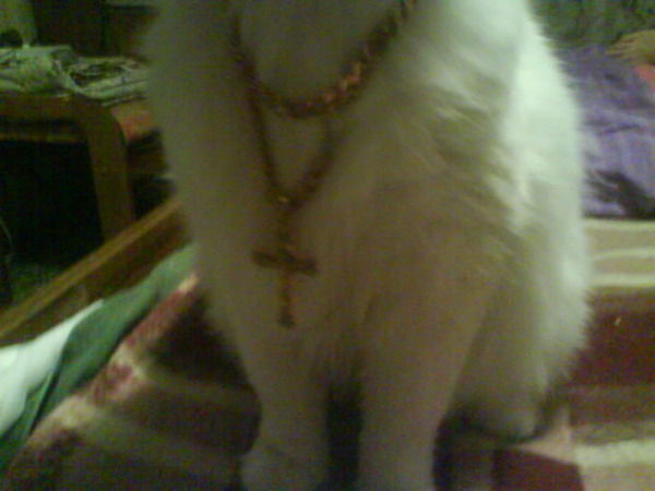 Татьяна Рамина