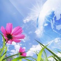 Елена Зорина