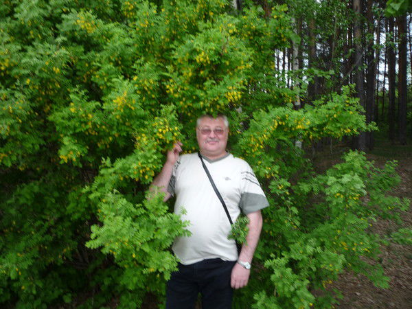 Павел Костицин