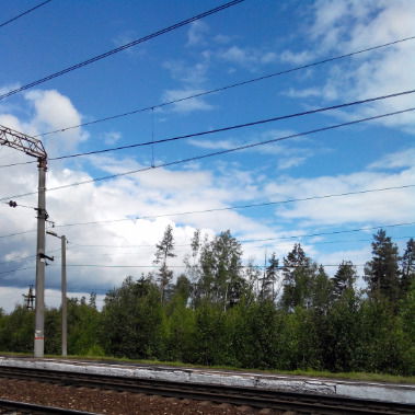 Светлана Сорокина