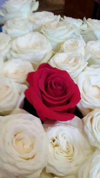 Гульнафис Игалиева