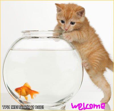 Лидия Бессонова