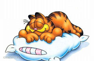 Дмитрий Протас