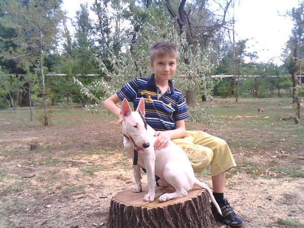 Ринат Хафизов