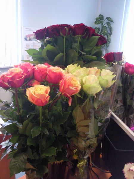 Людмила Зайцева