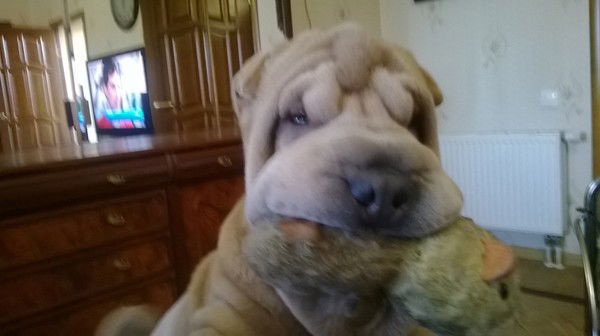 Ирина Владимировна