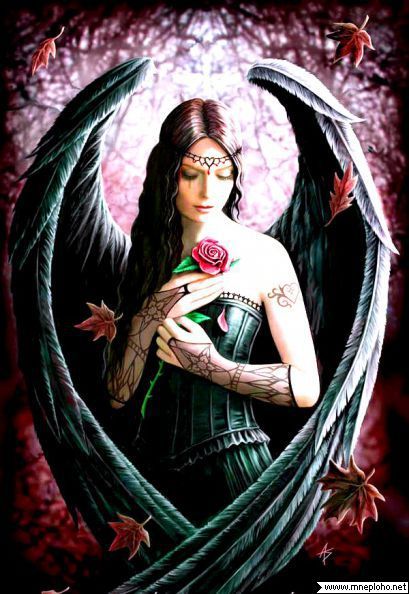 Наталия Кононович