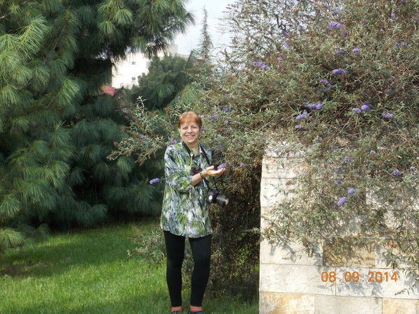 Елена Комиссаренко