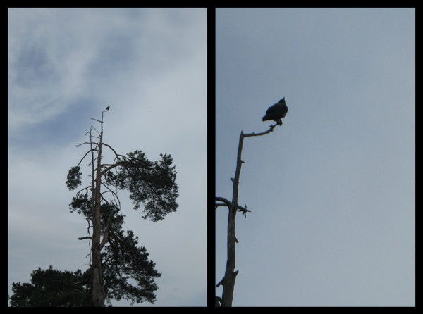 Серёга Филиппов