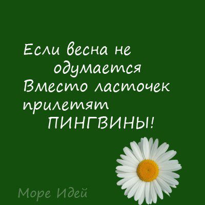 Аннушка Анюта