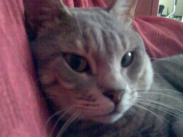 Aleksander Liubarski