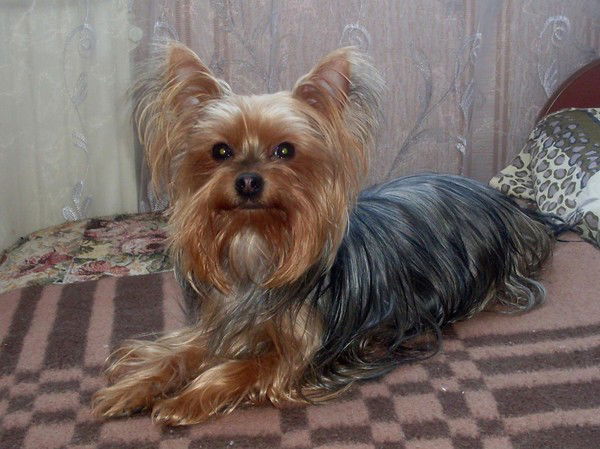 Ольга Леонова