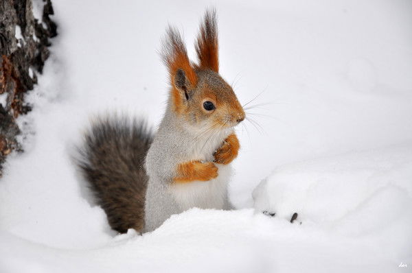 Юлия Распаева