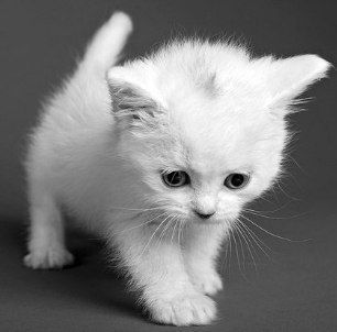 Анастасия Фролова