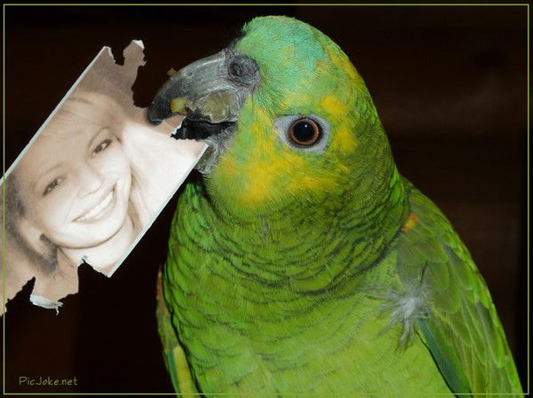 Елена Мартасова