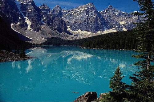 Елена Трачевская-Дужик