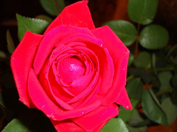 Бахыт Жолтаевна