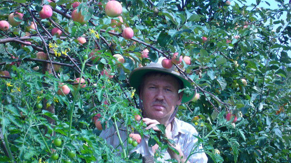 Владимир Беляшов