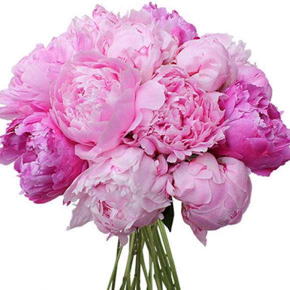 Анна Казаковцева