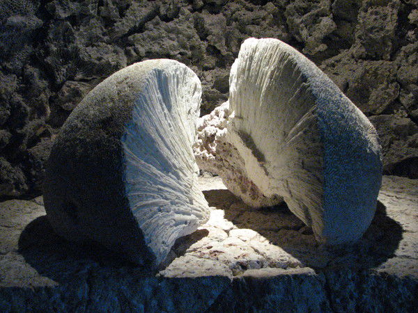 Дмитрий Краснощёк