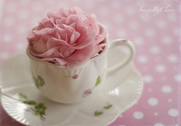 Молдир Габдуллина